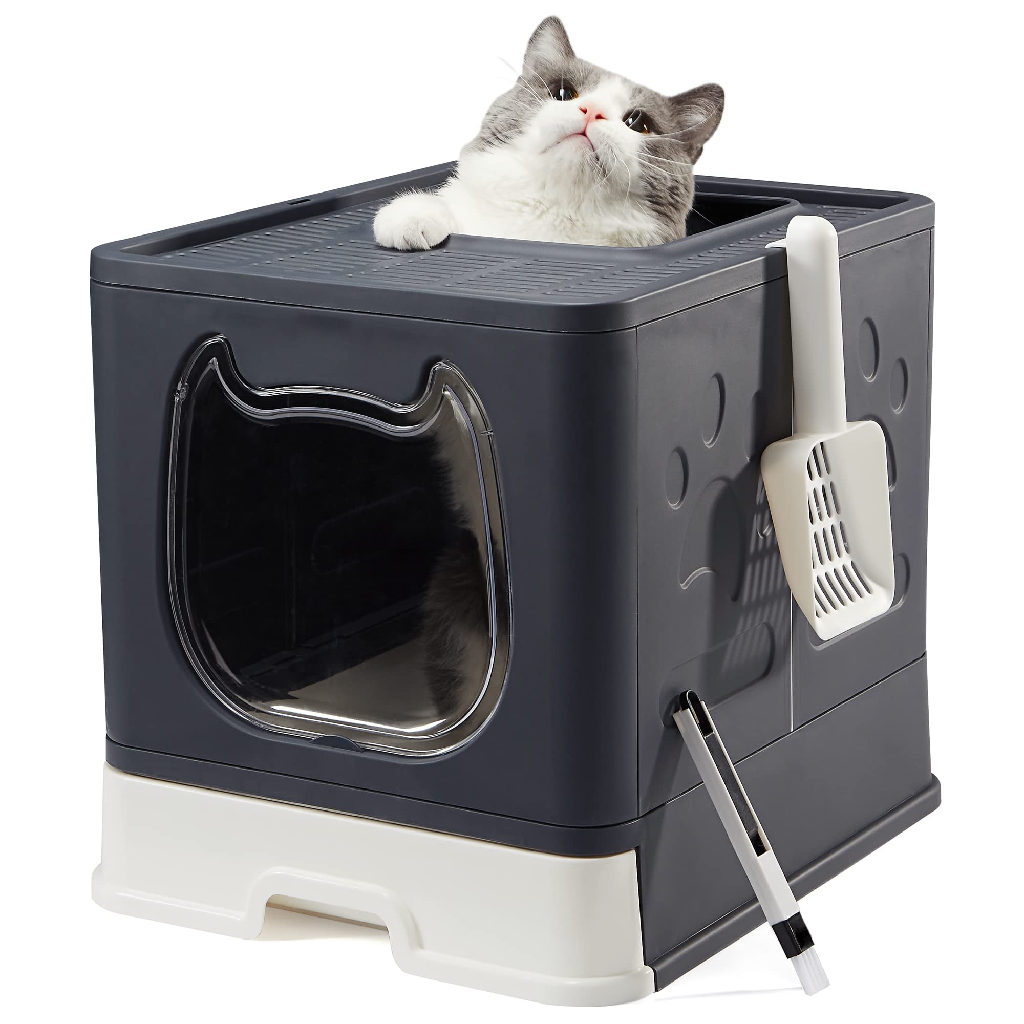 Foldable Cat Litter Box with Lid & Little Devil Front Door - Portable Kitty Litter Pan for Small Cats (Black) | Ideal for Apartments, Travel & Space-Saving Homes