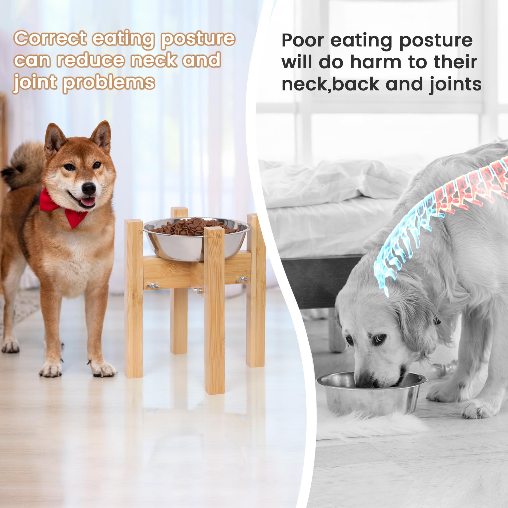 Adjustable Elevated Dog Bowl Stand for Medium Dogs - 10