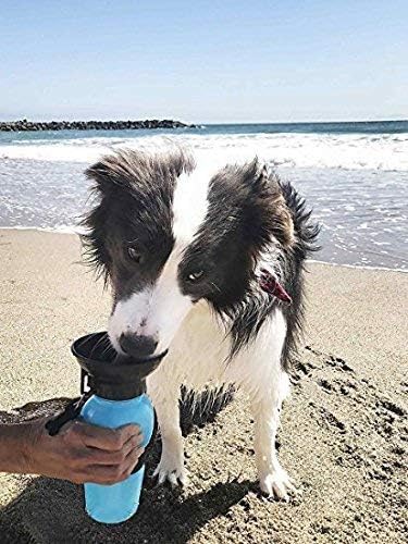 Portable Dog Water Bottle with Bowl - Automatic Travel Water Dispenser for Pets - Leak Proof & Durable for Hiking, Walking, Camping (1 Pack)