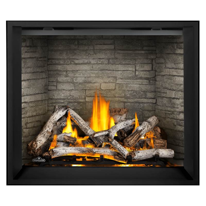 Napoleon Elevation X 42 Inch Direct Vent Gas Fireplace - EX42 | Indoor Heating for Living Rooms & Bedrooms | Modern Home Decor