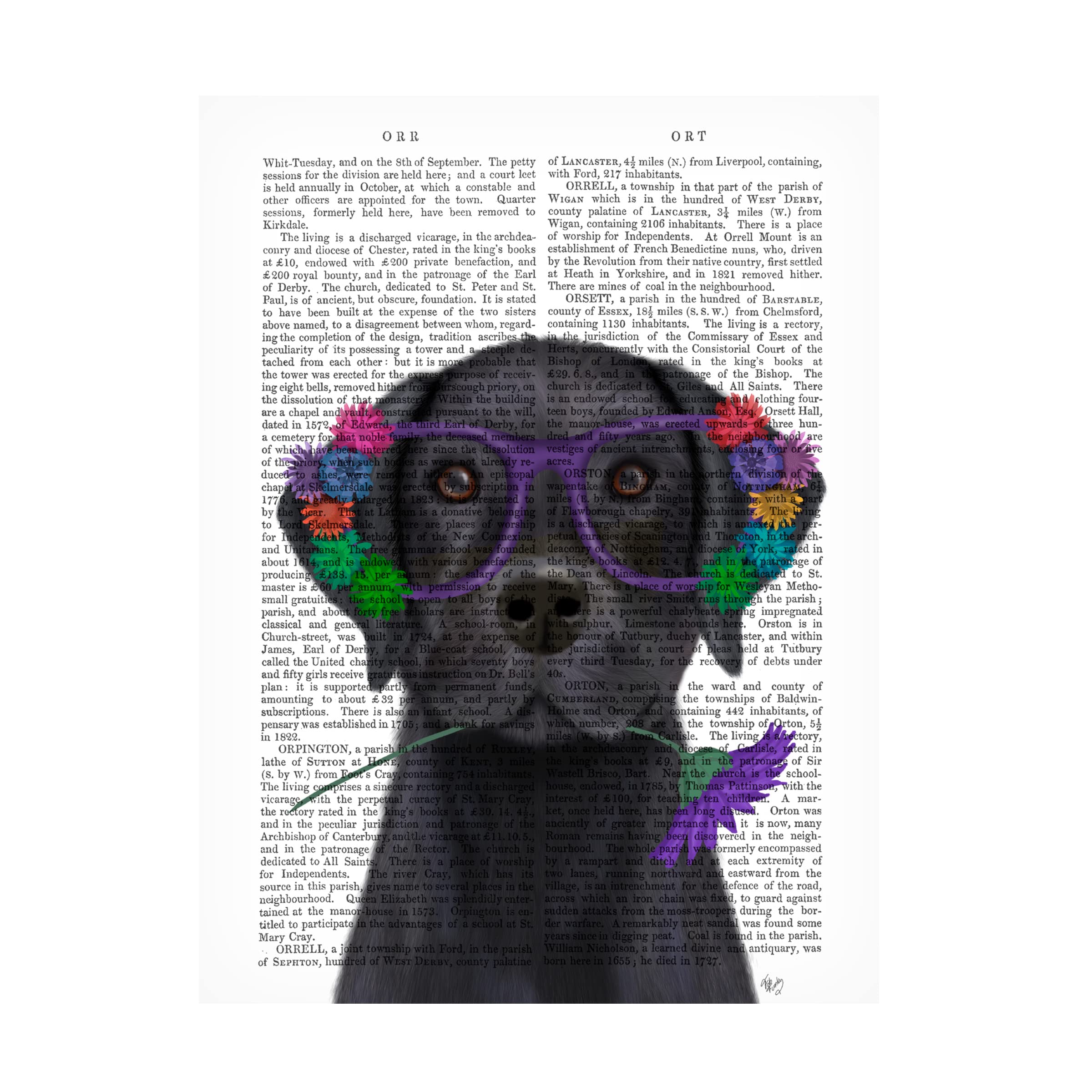 Fab Funky 'Black Labrador and Flower Glasses Book Print' Canvas Wall Art - Perfect for Living Room, Bedroom & Office Decor