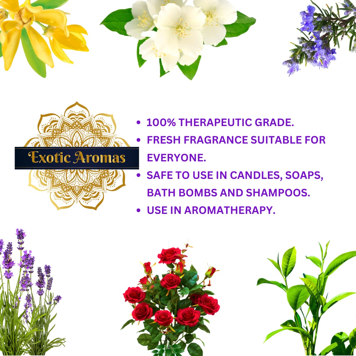 Premium Essential Oils Set - 100% Pure Lavender, Sandalwood, Jasmine, Rose & Ylang Ylang for Aromatherapy, Massage, Diffuser & Relaxation - 5 Bottles (10ml Each) - Perfect for Home Spa, Yoga & Stress Relief