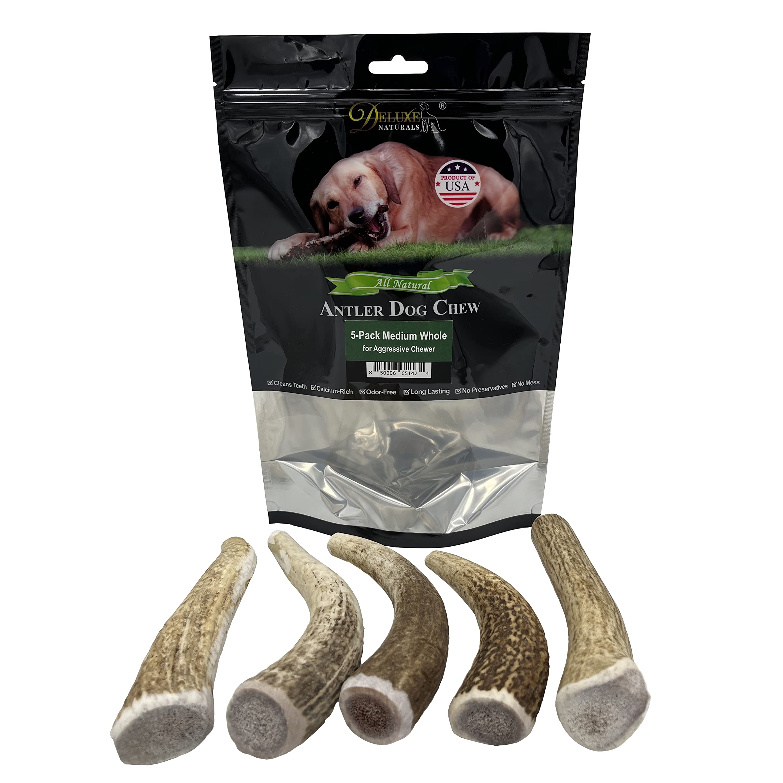 Premium USA-Collected Elk Antler Dog Chews - All Natural A-Grade Medium Whole Antlers (5-Pack) | Naturally Shed & Safe for Aggressive Chewers | Perfect for Dental Health & Long-Lasting Entertainment