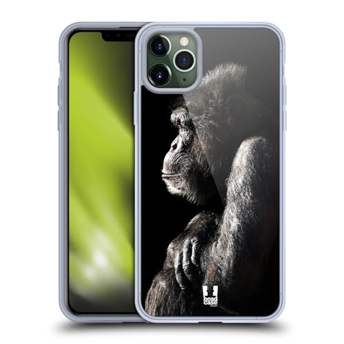 Male Chimpanzee