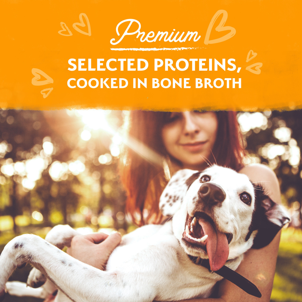 Natural Balance Limited Ingredient Reserve Duck Stew Wet Dog Food - Grain-Free, Hypoallergenic Canine Diet for Sensitive Stomachs - Perfect for Adult Dogs with Allergies or Digestive Issues
