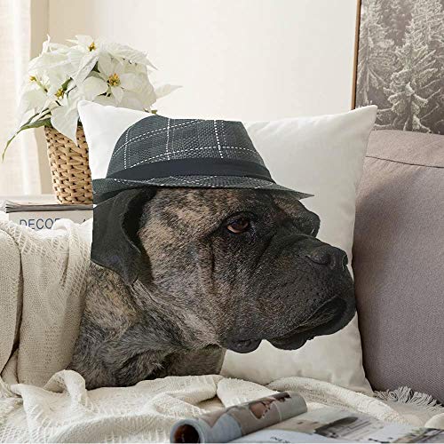 Fun Hat Dog