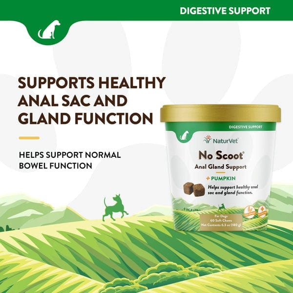 NaturVet No Scoot Plus Pumpkin Soft Chews for Dogs - Digestive Support & Anal Gland Relief - Perfect for Small & Large Breeds at Home or Travel