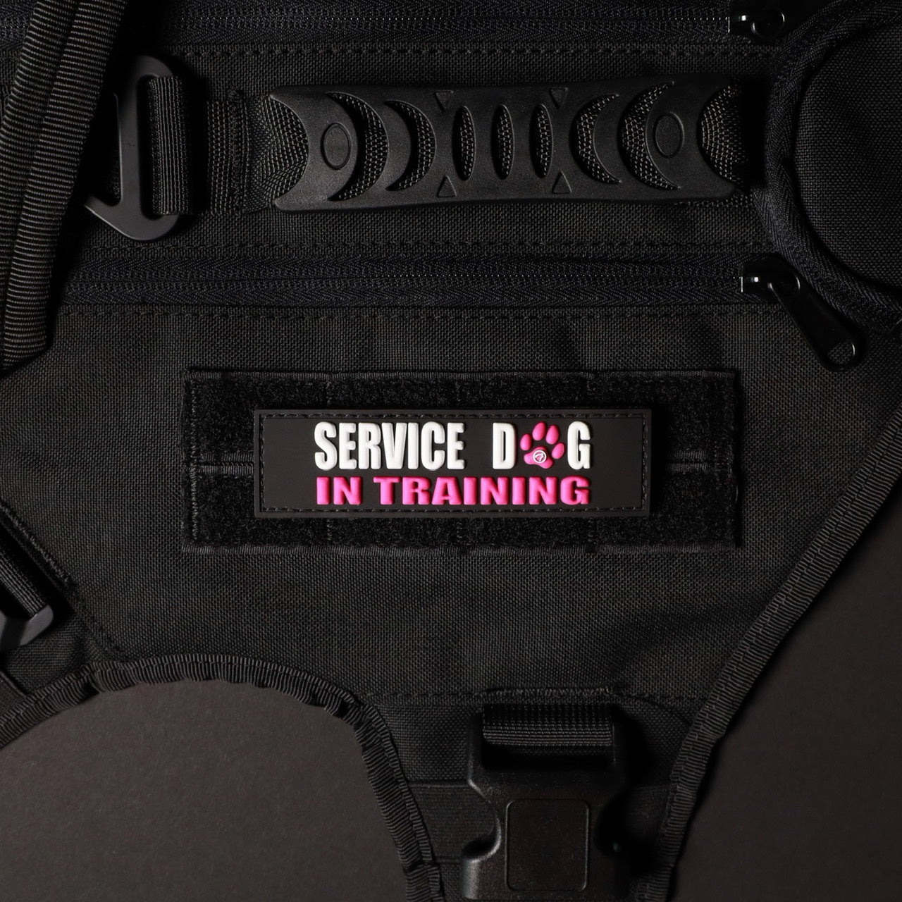 Service Dog in Training Vest with Pink Paw Patch - Perfect for Training, Public Outings & Assistance Work