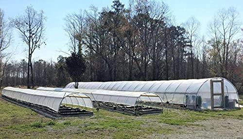 Bootstrap Farmer 4-Year 6 mil UV Resistant Clear Greenhouse Plastic Film - 16' x 30' Polyethylene Cover for Gardening, Plant Protection & Season Extension