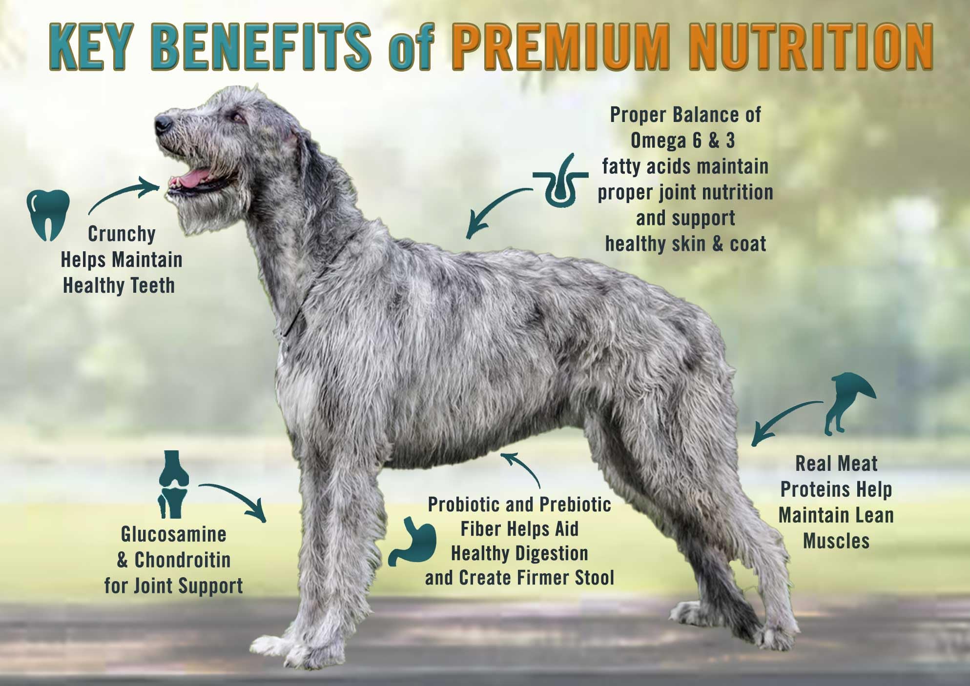 Premium Chicken Soup for The Soul Classic Dry Large Breed Adult Dog Food - Chicken, Turkey & Brown Rice Recipe, 40lb Bag | Soy Free, Corn Free, Wheat Free | Made with Real Ingredients for Healthy Joints & Shiny Coat | Ideal for Active Large Breed Dogs at Home or Outdoor Adventures