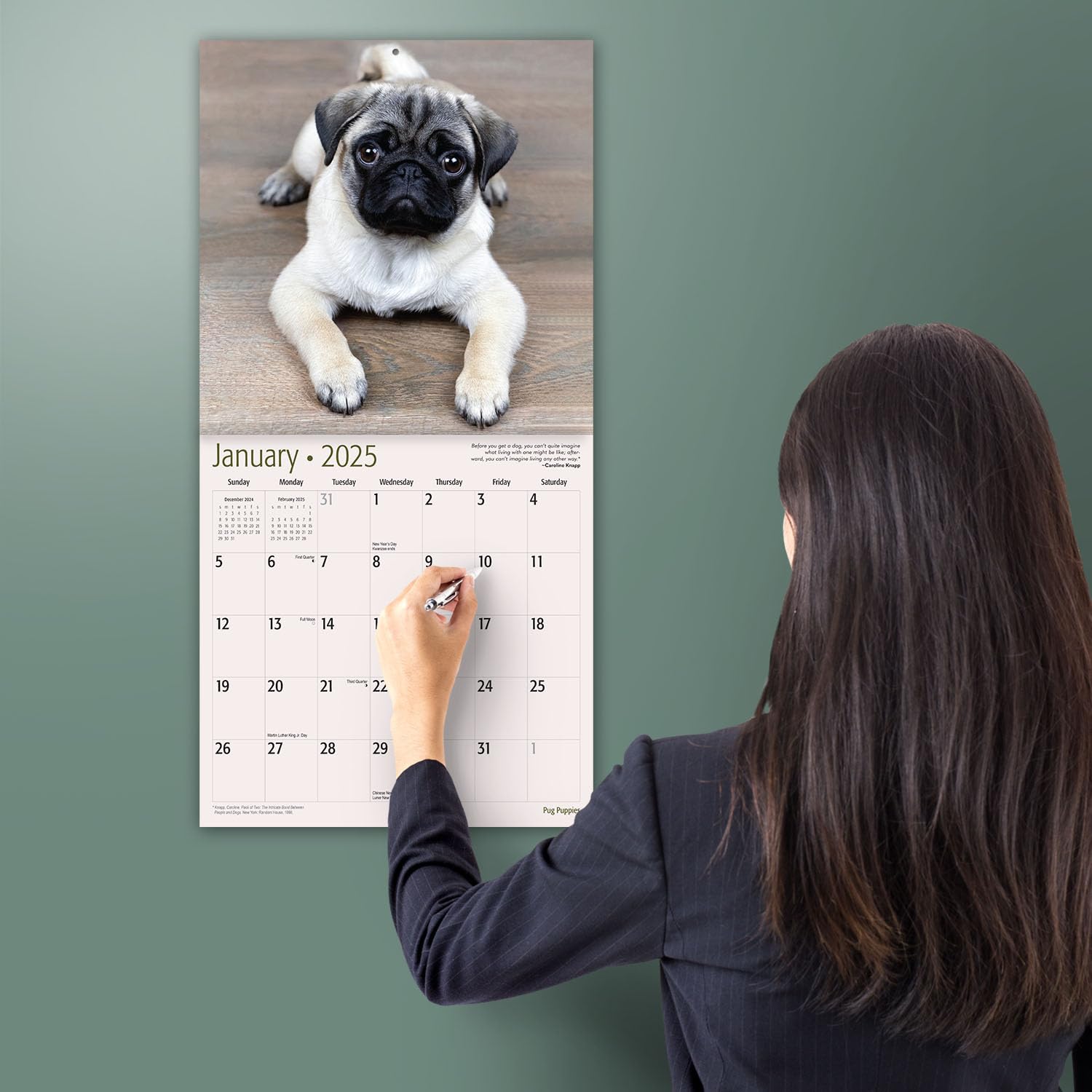 MICASA Pug Puppies 2025 Wall Calendar - 12 Month Large 12x24 Inch with Thick Sturdy Paper - Perfect Gift for Dog Lovers - Ideal for Home, Office, or Classroom Decor