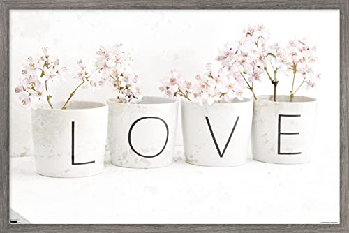 Barnwood Framed Version