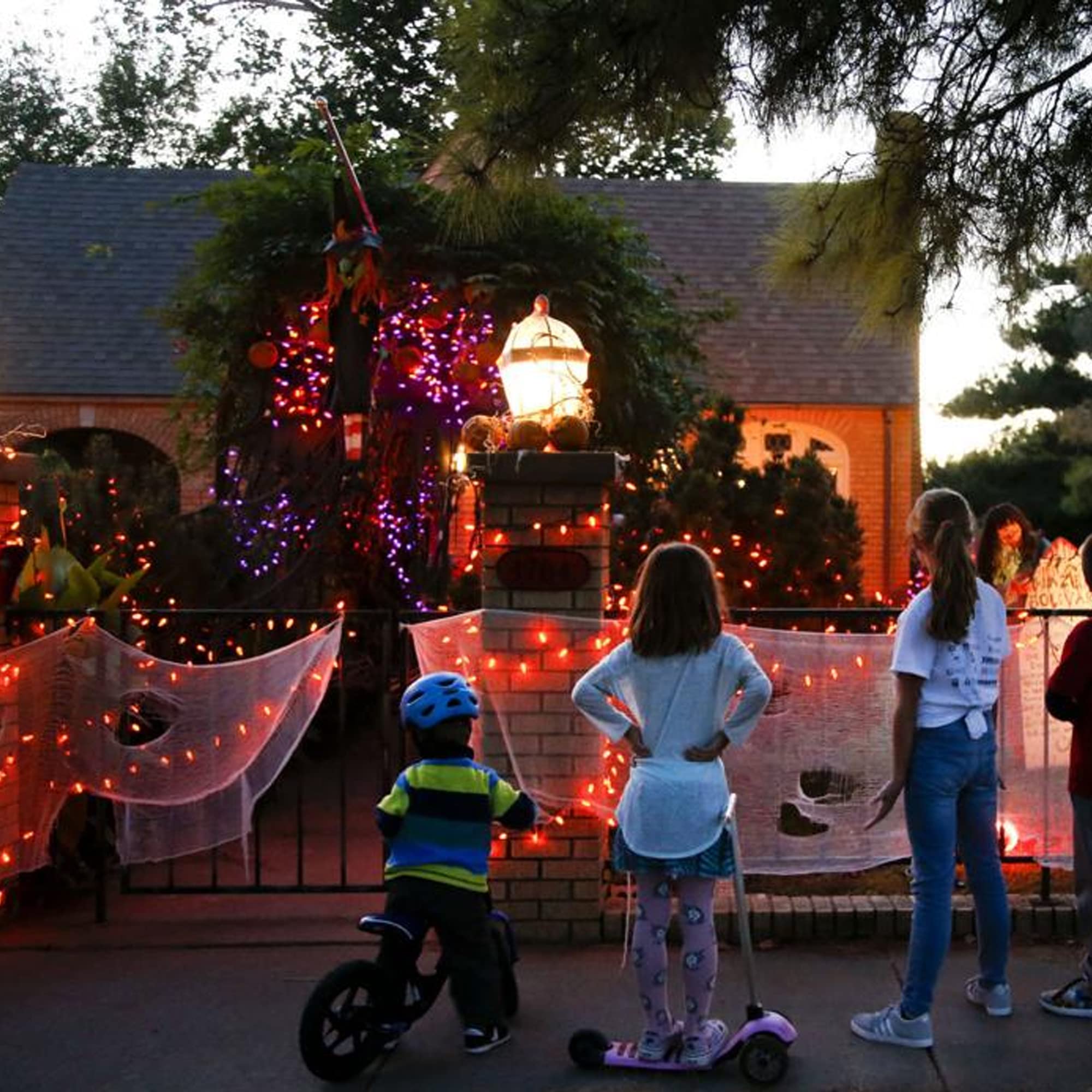 Dazzle Bright Fairy String Lights - 20FT 60 LED Copper Wire Battery Operated Waterproof Lights for Halloween, Indoor Home, Outdoor Patio, Yard Party Decorations (Purple and Orange, 1 Pack) | Perfect for Christmas, Weddings, Bedroom, Garden & DIY Home Decor