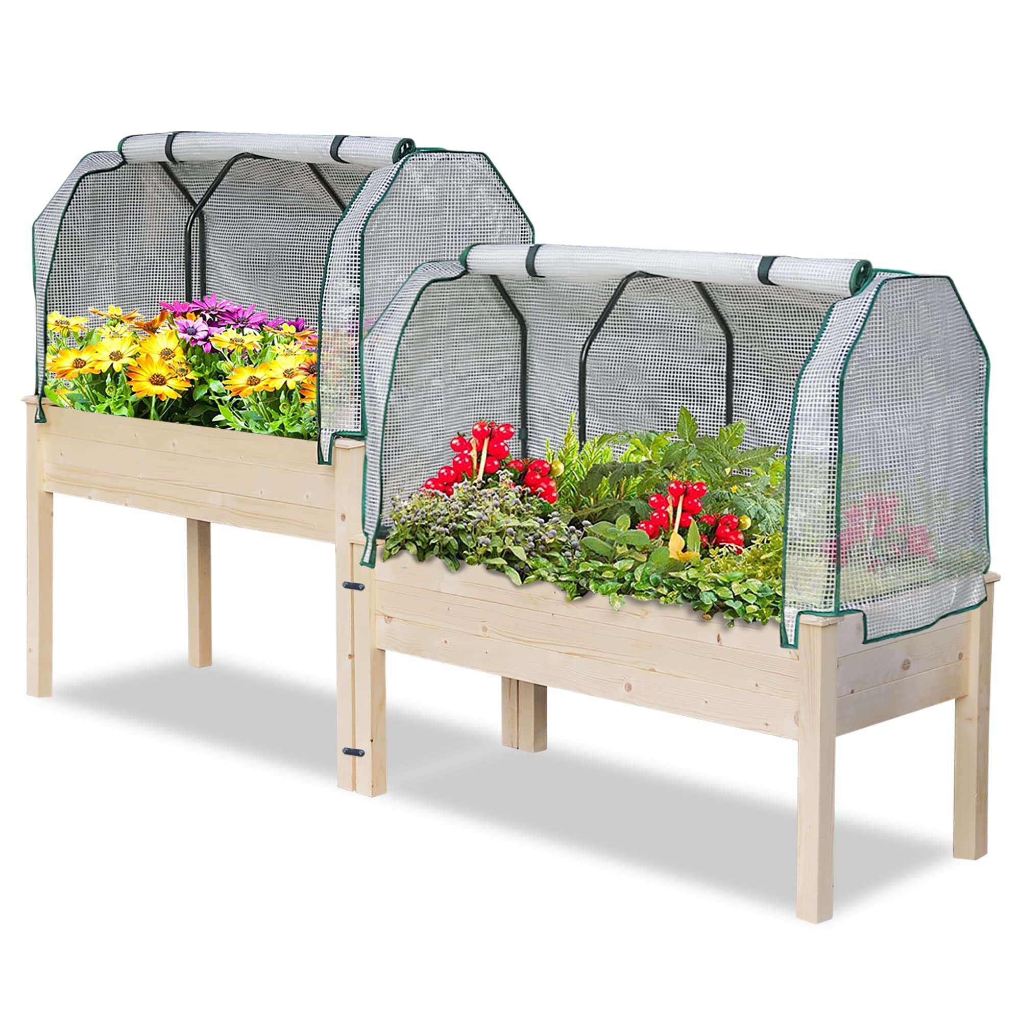 2-Tier Elevated Cedar Wood Raised Garden Bed with 2 PE Greenhouse Covers - Heavy Duty Planter Box for Vegetables, Flowers, Fruits & Herbs - Perfect for Patio, Backyard & Urban Gardening