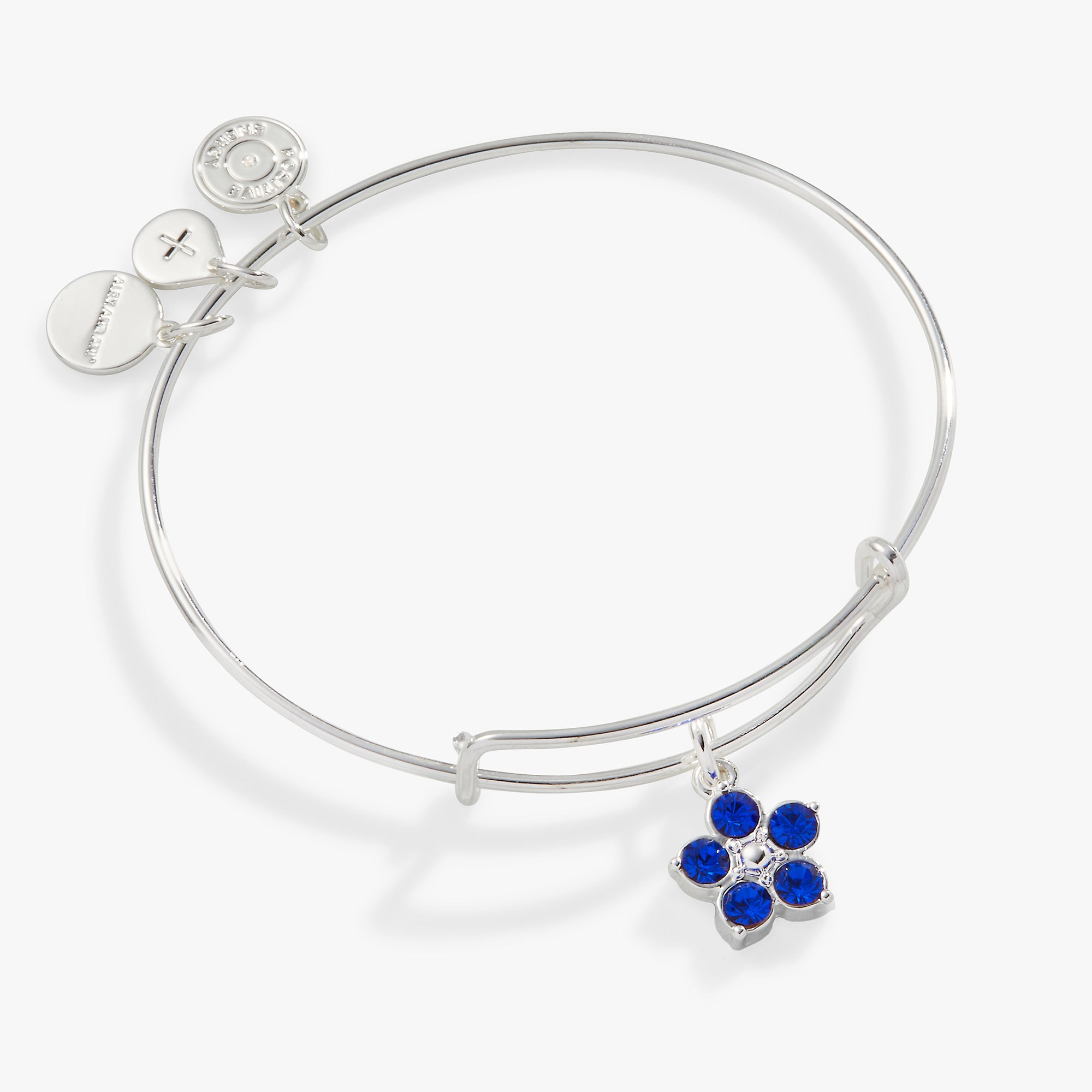 Forget Me Not Flower Charm Crystal Bangle Bracelet - Elegant Jewelry for Women, Gift for Mom, Sister, Best Friend - Perfect for Weddings, Anniversaries & Special Occasions
