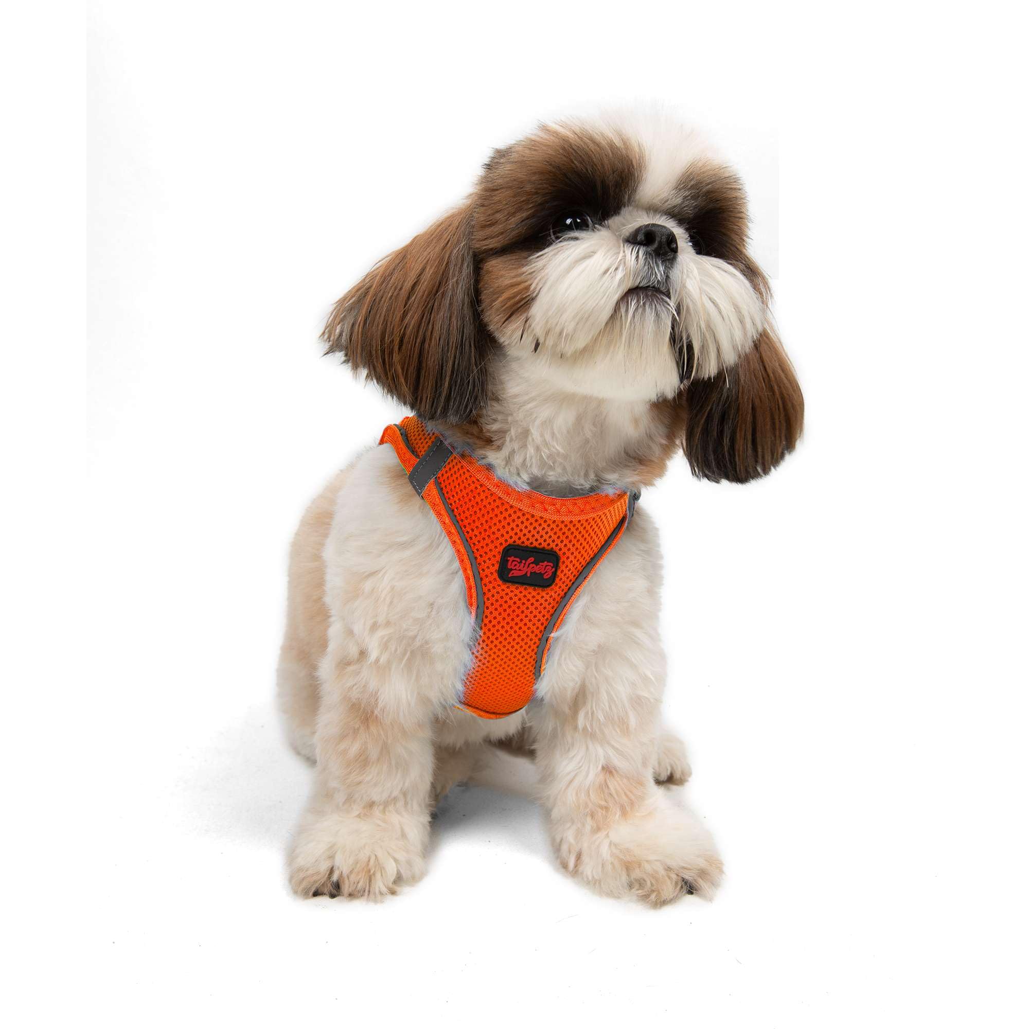 **Tailpetz Adjustable No-Pull Reflective Dog Harness for Small Dogs - Step-in Design for Puppy Training, Comfortable & Secure Fit for Small Breed Dogs (Neon Orange, Size S) - Perfect for Walks, Hiking & Outdoor Adventures**