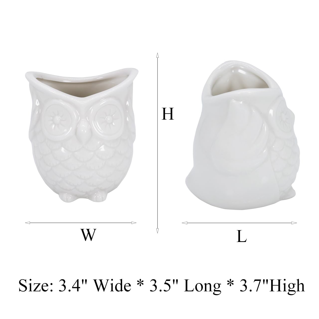 Small White Ceramic Owl Succulent Planter with Drainage Tray - Cute Indoor Air Plant Holder for Cactus & Flowers | Perfect for Home Office Desk Decor, Windowsill Garden, and Gift Ideas