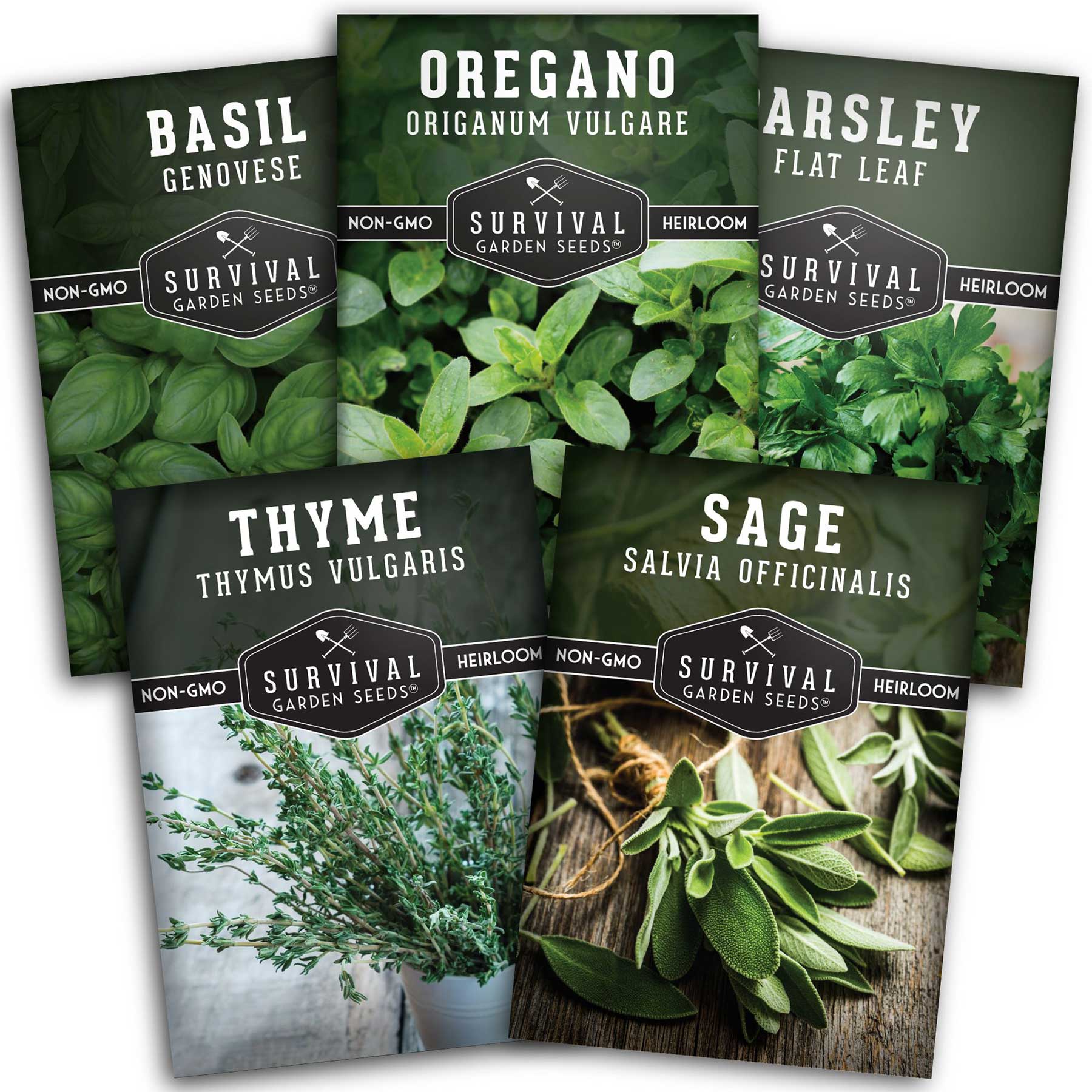 Premium Italian Herb Seed Collection - 5 Classic Culinary Herbs for Cooking, Gardening & Homegrown Flavors | Perfect for Pasta, Pizza & Mediterranean Dishes