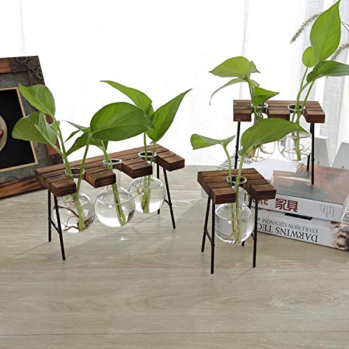Modern Triple Balls Glass Desk Vase - Hydroponic Plant Terrarium Container with Wooden Stand | Elegant Home & Office Decor for Succulents, Air Plants, or Floating Flowers | Perfect for Windowsills, Desktops, and Shelf Displays