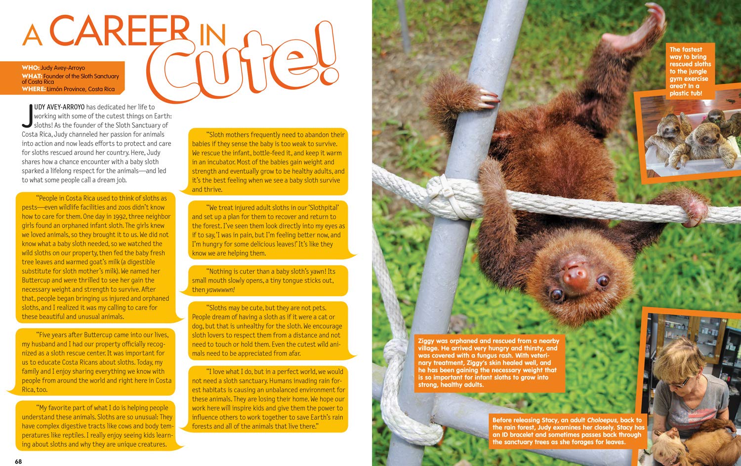 This Book is Cute: The Soft and Squishy Science and Culture of Aww - Explore the Psychology of Cuteness | Perfect Gift for Animal Lovers & Kawaii Enthusiasts | Great for Coffee Table Decor and Relaxation Reading