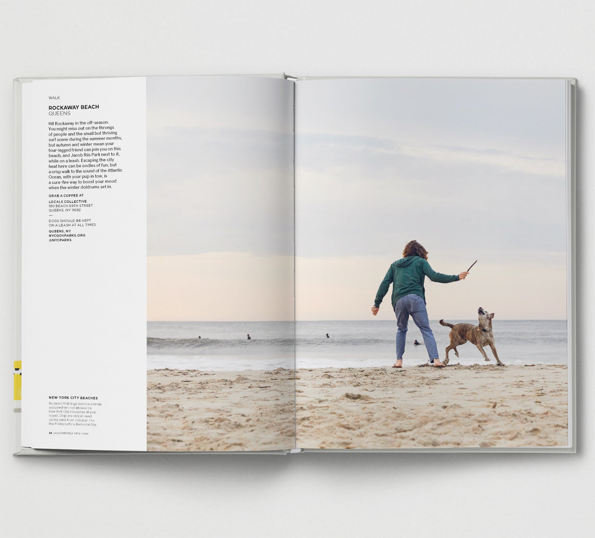Dog-Friendly New York: Top Pet-Friendly Hotels, Parks & Restaurants for Your Furry Friend | Travel Guide for Dog Owners