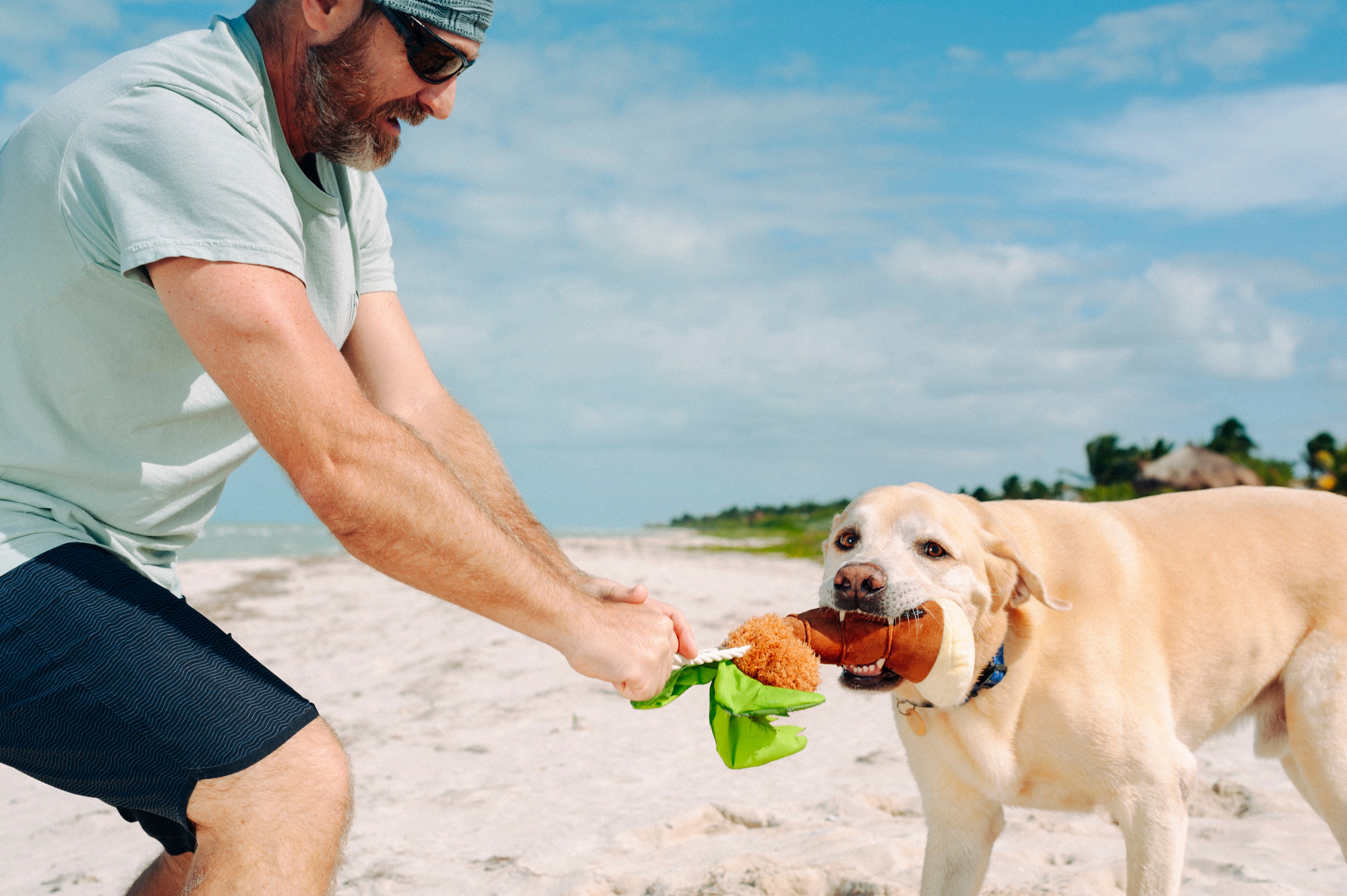 Tropical Paradise™ Dog Plush Toy - La Palma Soft Chew Toy for Dogs | Durable & Safe Pet Play | Perfect for Indoor & Outdoor Playtime