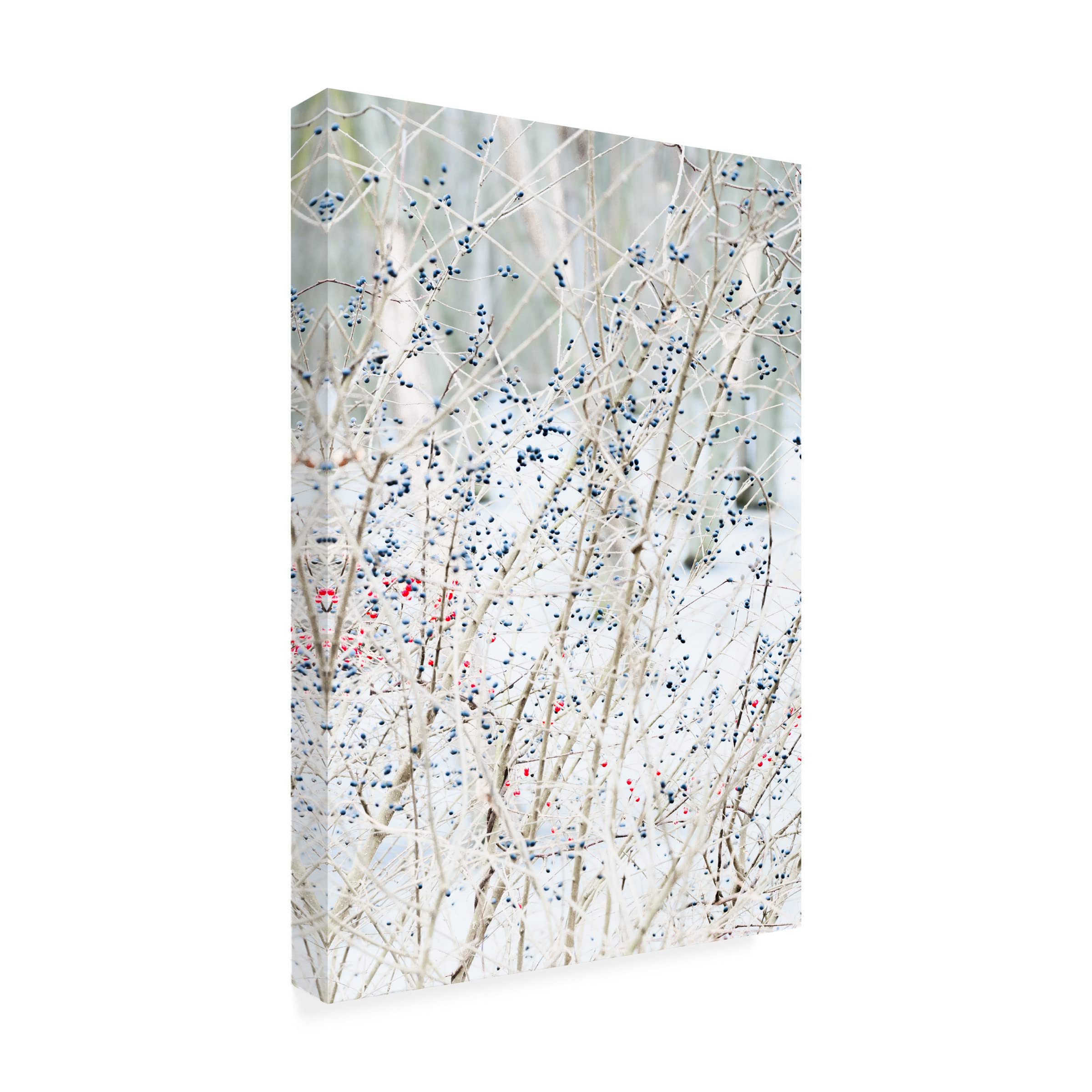 Blue Palomino 'Winter Berries Portrait' Canvas Wall Art - Handmade Floral Painting for Living Room, Bedroom & Office Decor