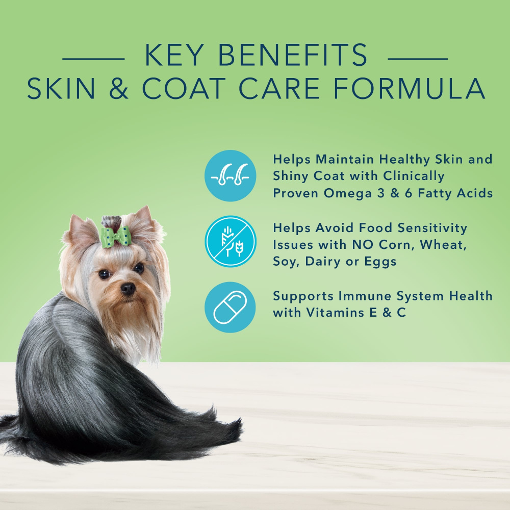 Blue Buffalo True Solutions Perfect Coat Skin & Coat Care Formula Salmon Recipe Adult Dry Dog Food - Premium Omega Fatty Acids for Healthy Skin & Shiny Coat - Ideal for Adult Dogs with Sensitive Skin or Allergies