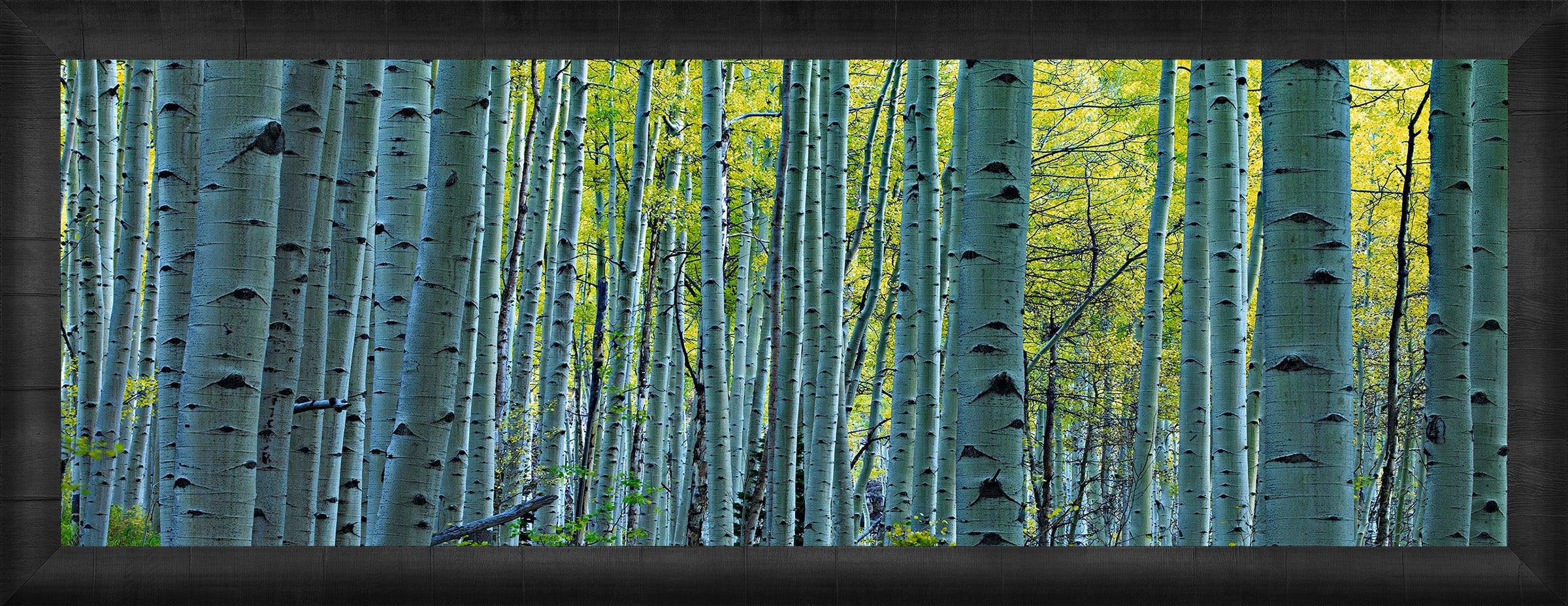 Endless Birches Wall Art - Handmade Birch Tree Canvas Prints for Home & Office Decor | Perfect for Living Room, Bedroom & Office Spaces