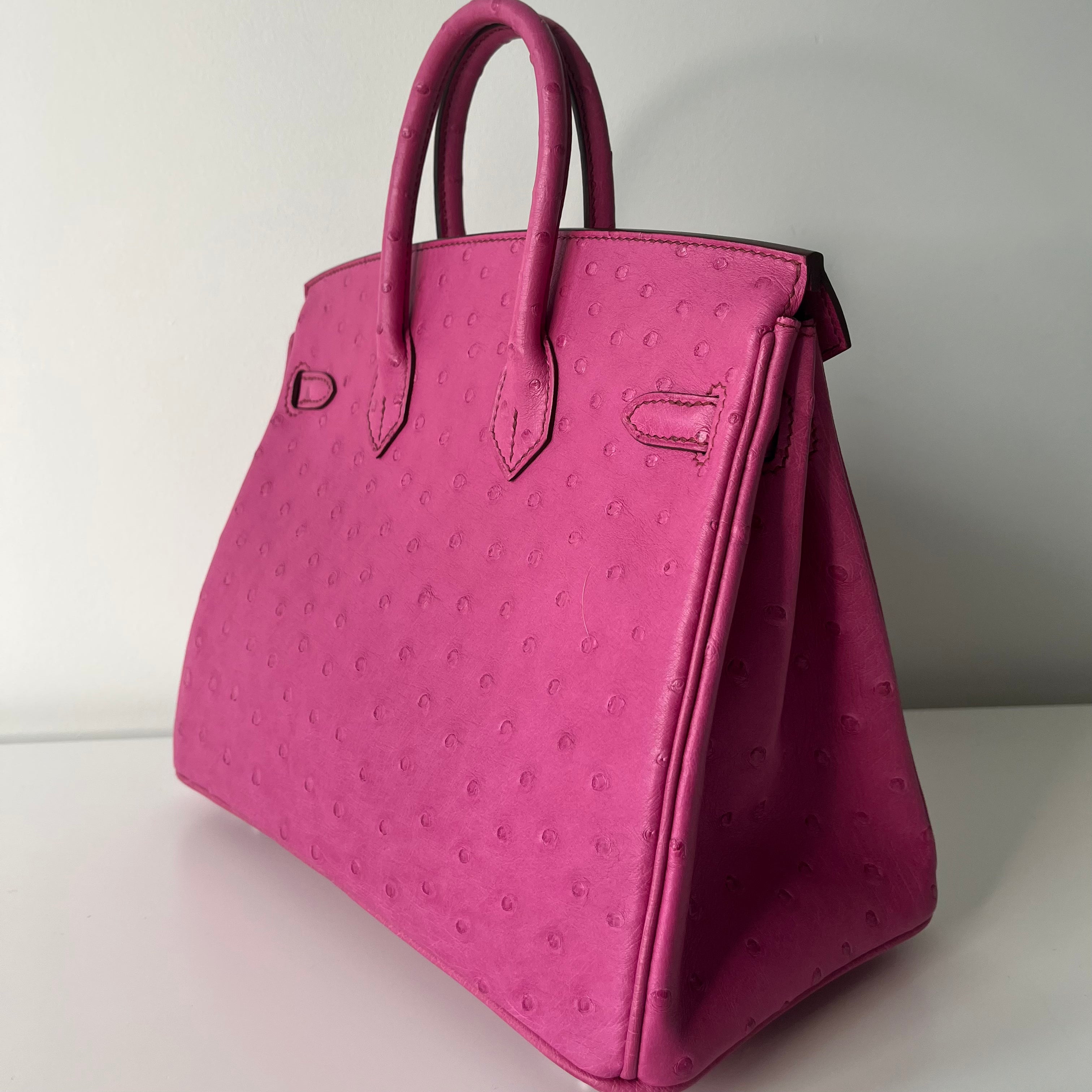 Hermes Birkin 25 Handbag in Fuchsia Ostrich Leather with Palladium Hardware - Luxury Designer Purse for Women, Perfect for Parties, Work & Everyday Use