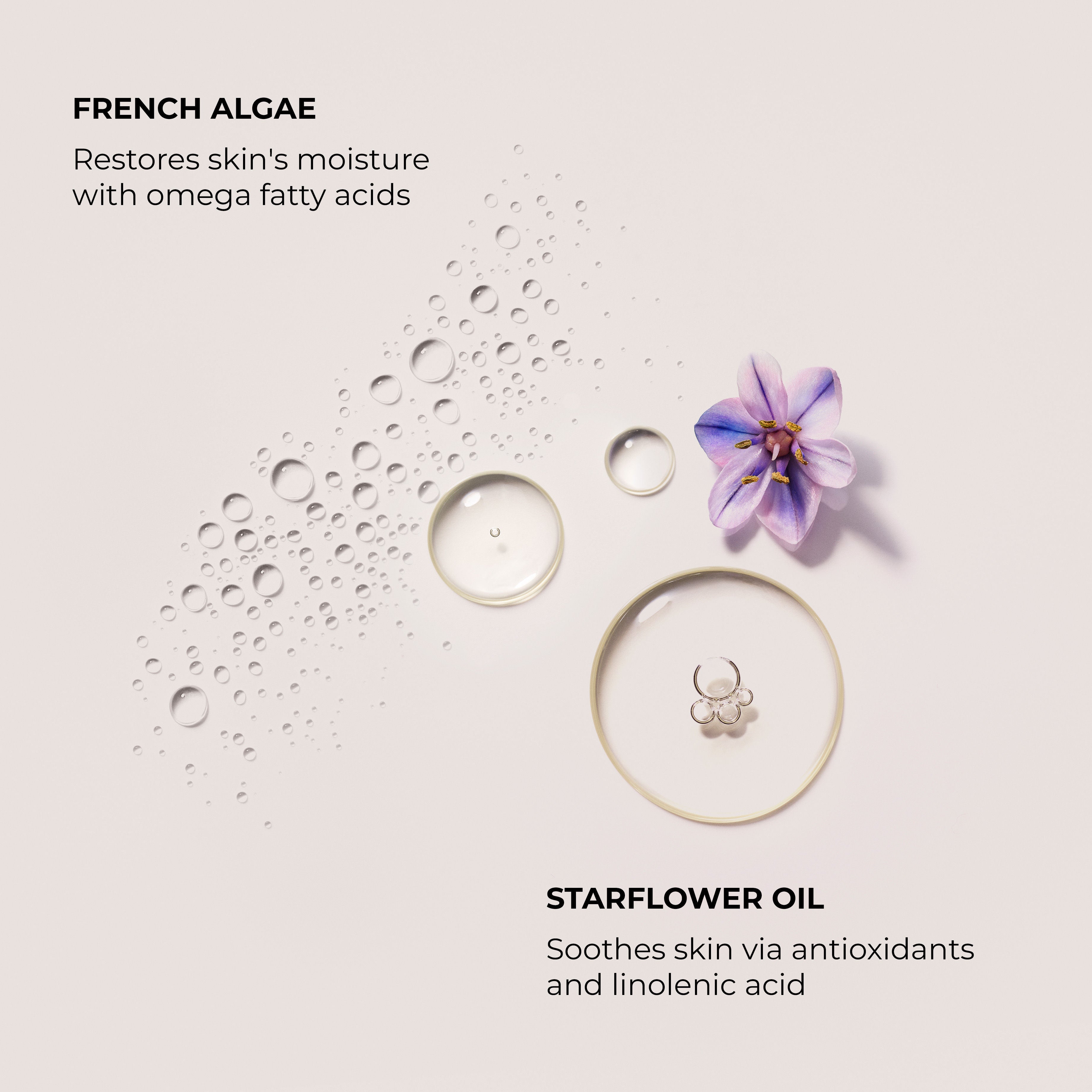 Ambre Vanille Soufflé Hand Cream - Moisturizing & Nourishing for Dry Skin - Perfect for Winter Care & Daily Hydration