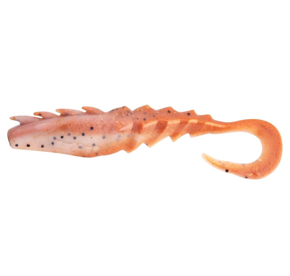 Molting Shrimp