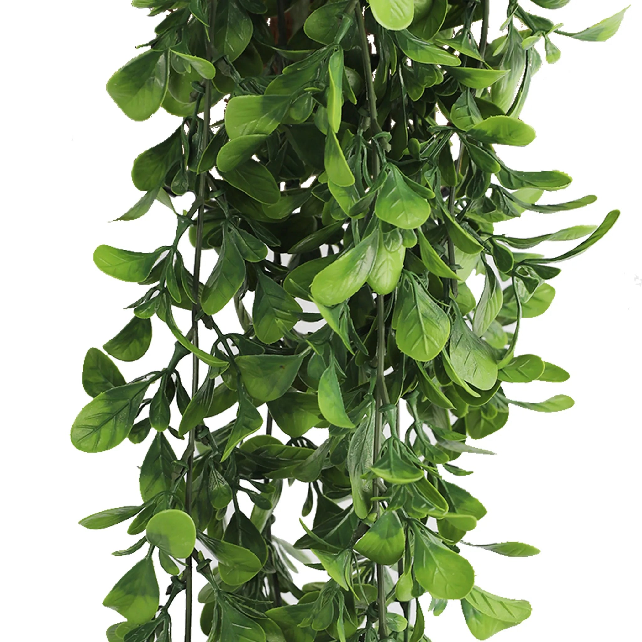 UV & Fire Rated Hanging Creeping Fig Vine - 18cm x 76cm Artificial Green Wall Decor for Indoor/Outdoor Home & Office Decoration