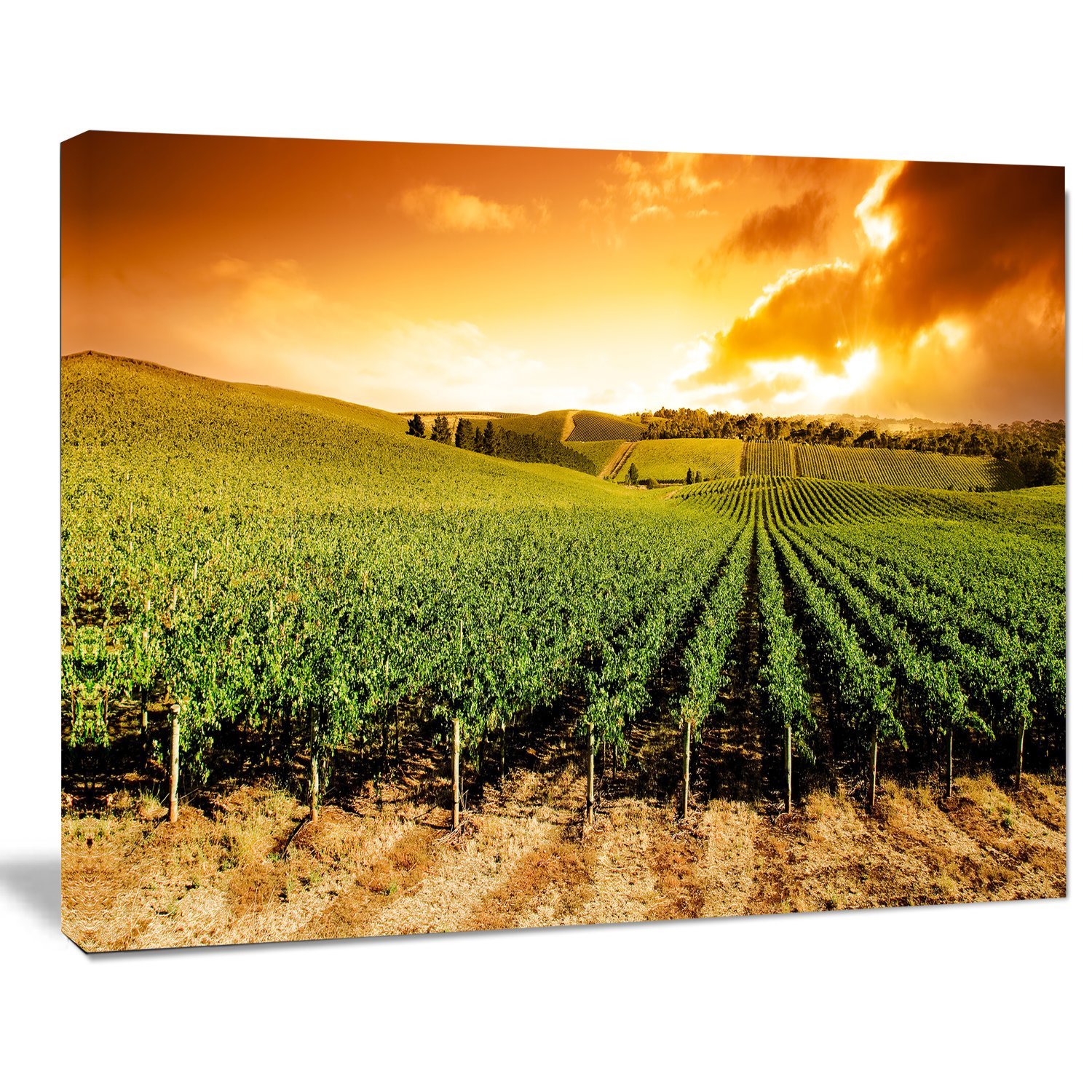 Stunning Sunset Vineyard Panorama Wall Art - Extra Large Landscape Canvas Print for Living Room, Bedroom & Office Decor