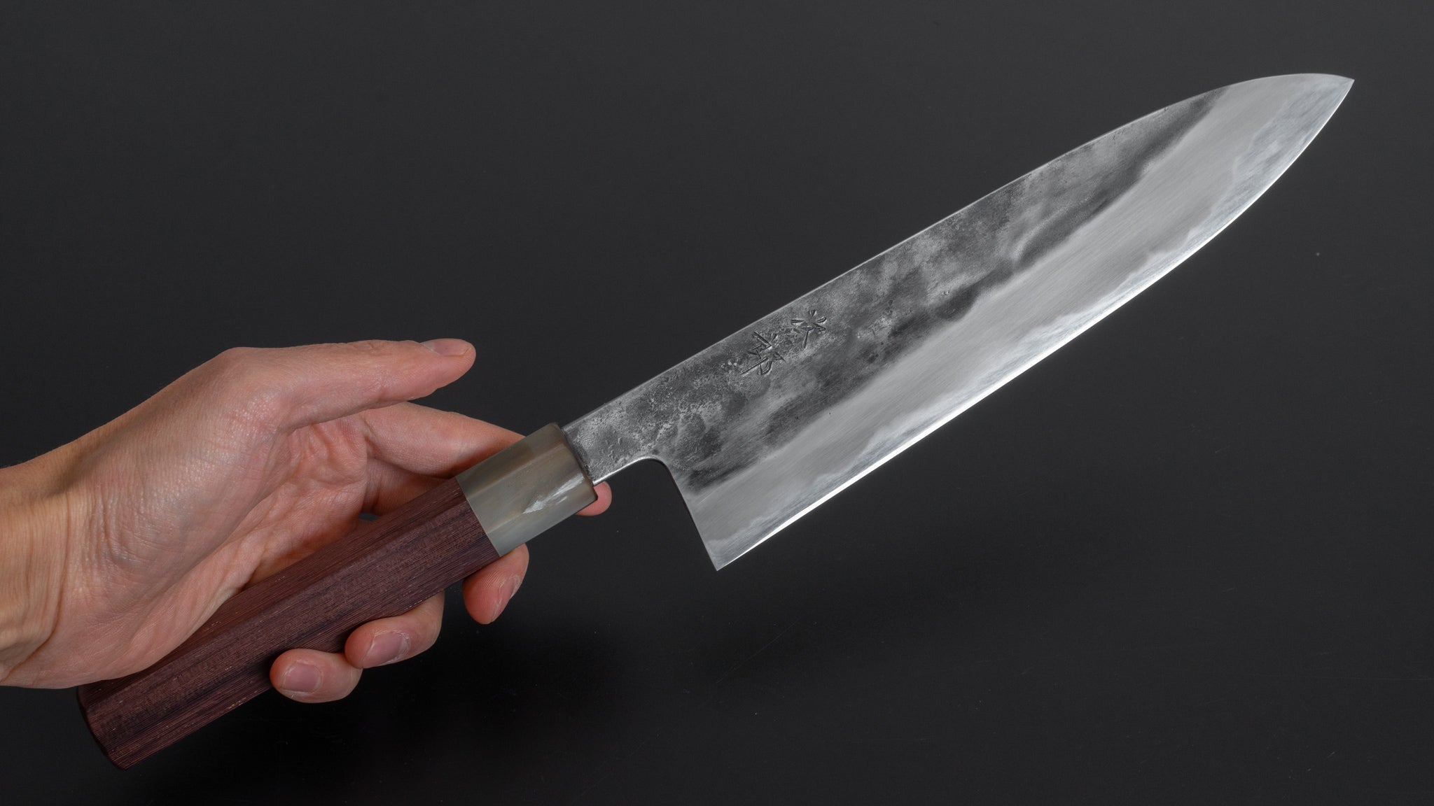Premium Jiro Tsuchime Wa Gyuto 240mm Japanese Chef Knife with Taihei Tagayasan Handle - Perfect for Sushi, Meat Slicing & Professional Kitchen Use