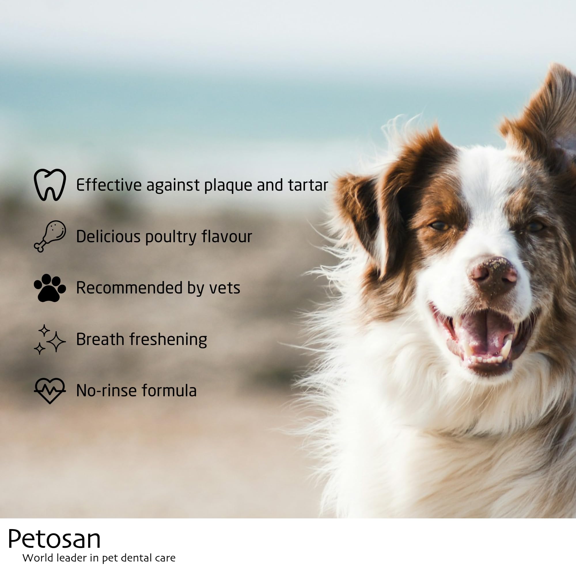 Petosan Chicken Flavor Dog Toothpaste - 70g | Natural Dental Care for Dogs | Freshens Breath & Prevents Plaque | Ideal for Daily Oral Hygiene at Home