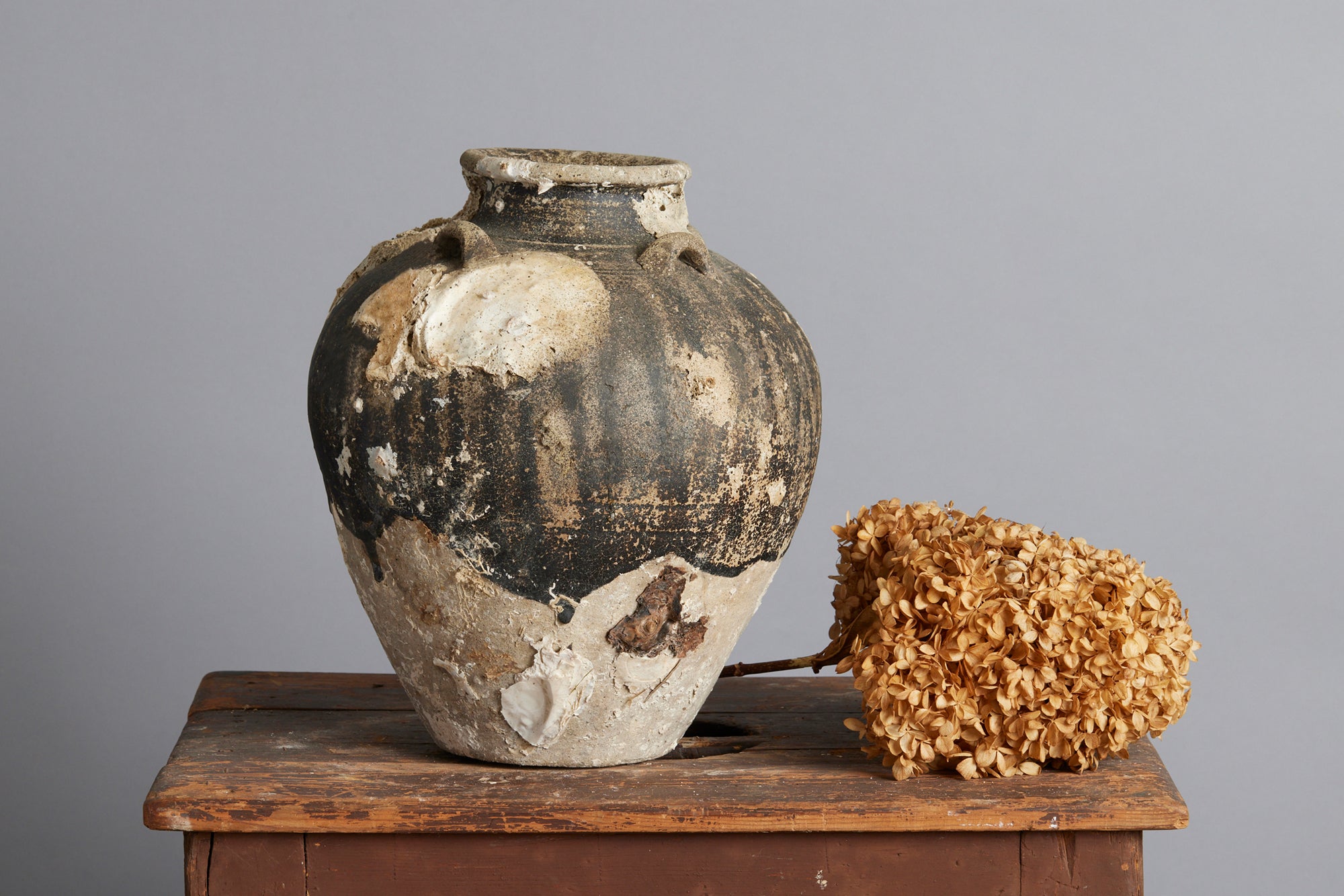 Antique Tsung Dynasty Brown & White Ceramic Shipwreck Storage Jar with Oyster Encrustations - Authentic Chinese Collectible for Home Decor & Coastal Themed Interiors