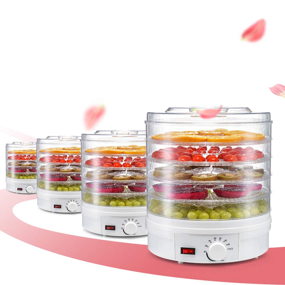 110V AnEssOil Food Dehydrator - Stainless Steel Electric Drying Machine for Fruits, Vegetables, Herbs & Meat | Healthy Snacks Maker for Home, Camping & Food Preservation