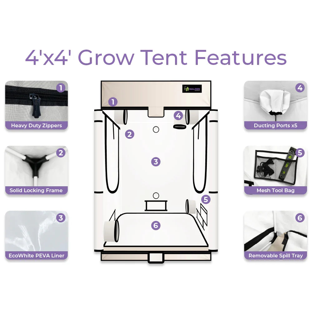 Active Grow 4' x 4' Walden White Hydroponic Grow Tent for Indoor Plants - Perfect for Home Gardening, Seed Starting & Plant Cultivation