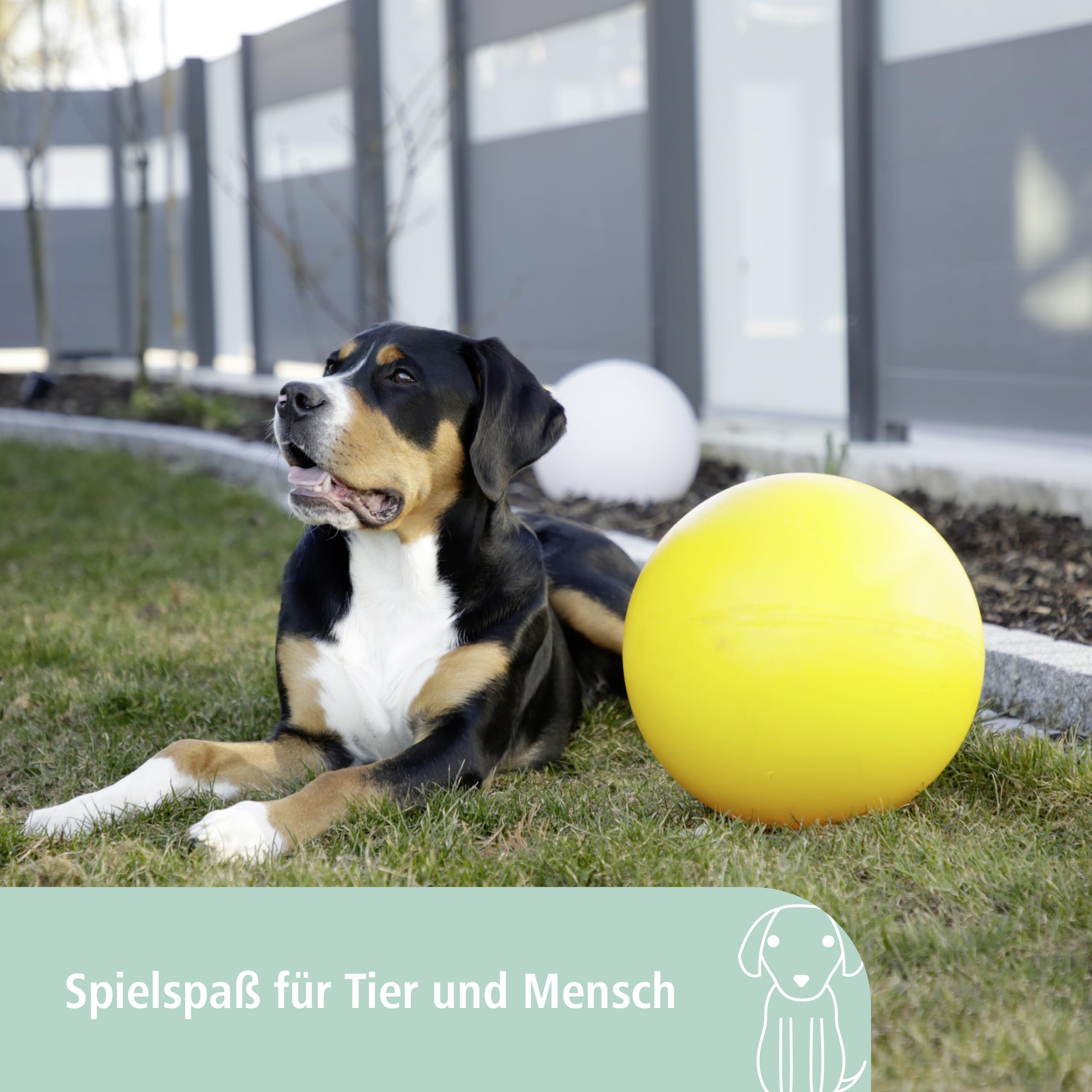 Durable Floating Dog Toy Ball for Small, Medium & Large Breeds - Perfect for Fetch, Water Play & Interactive Training