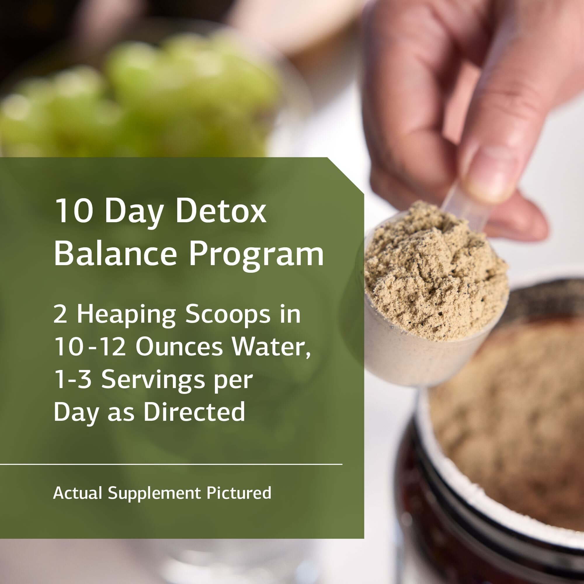 Standard Process SP Detox Balance - 10-Day Whole Food Detox Cleanse Supplement with Magnesium, Iron, Creatine & Milk Thistle - Vegan, Gluten Free, Protein, Calcium, Potassium - Natural Body Cleanse for Digestive Support & Liver Health