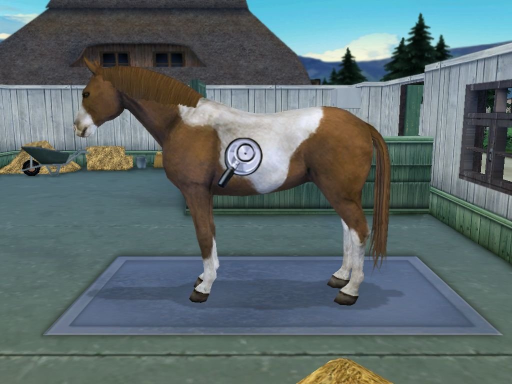 Paws And Claws Pet Vet - Nintendo Wii Game for Kids | Virtual Pet Care & Animal Doctor Simulation | Fun Family Game Night Activity