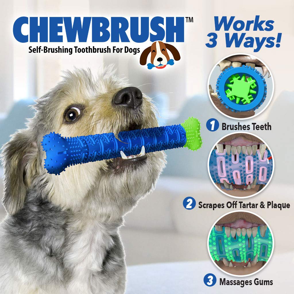 BulbHead Chewbrush Dog Toothbrush Toy - No Toothpaste Needed - Dental Chew Toy for Teeth Cleaning (1 Pack) - Perfect for Puppy Teething & Dog Dental Care at Home