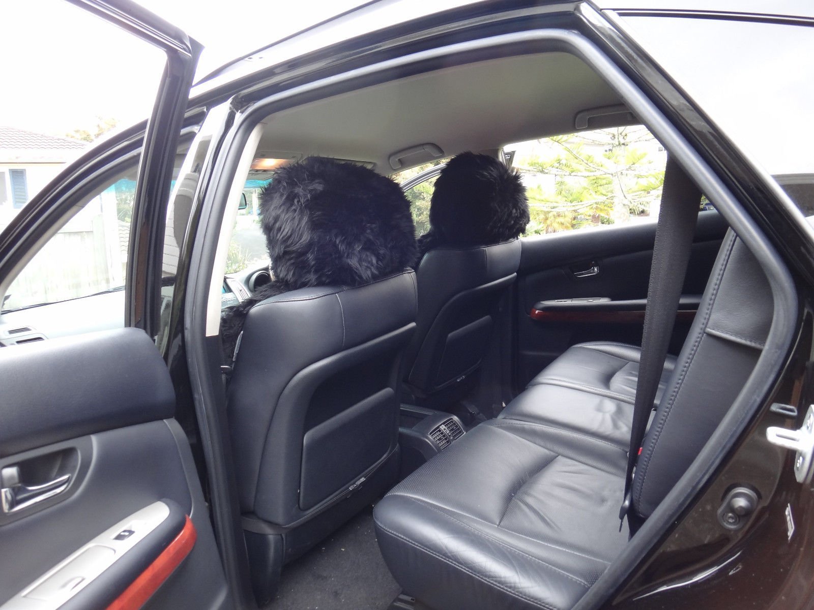 Premium New Zealand Sheepskin Car Seat Covers - Genuine Lambskin Bucket Seat Protectors (2-Pack, Black) - Universal Fit for Most Vehicles - Soft & Comfortable for Long Drives, Winter Warmth & Luxury Interior Upgrade