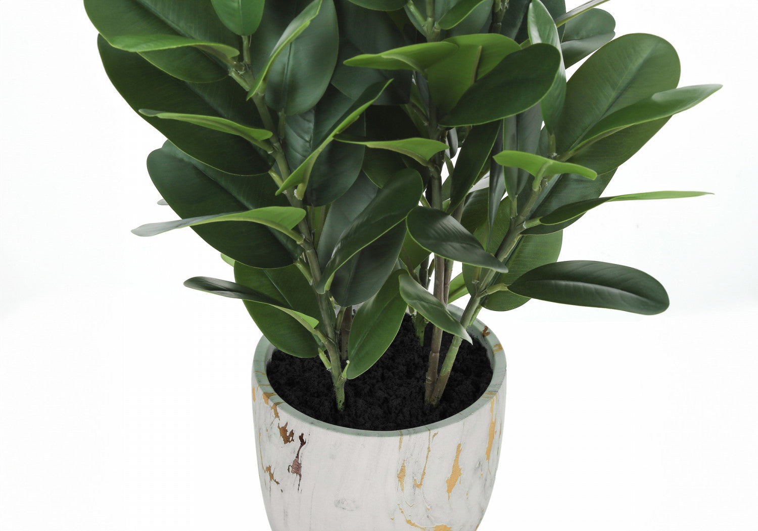 31 Garcinia Tree in 7 Marble-Look Pot - Green Indoor Plant for Home Decor, Office, or Gift