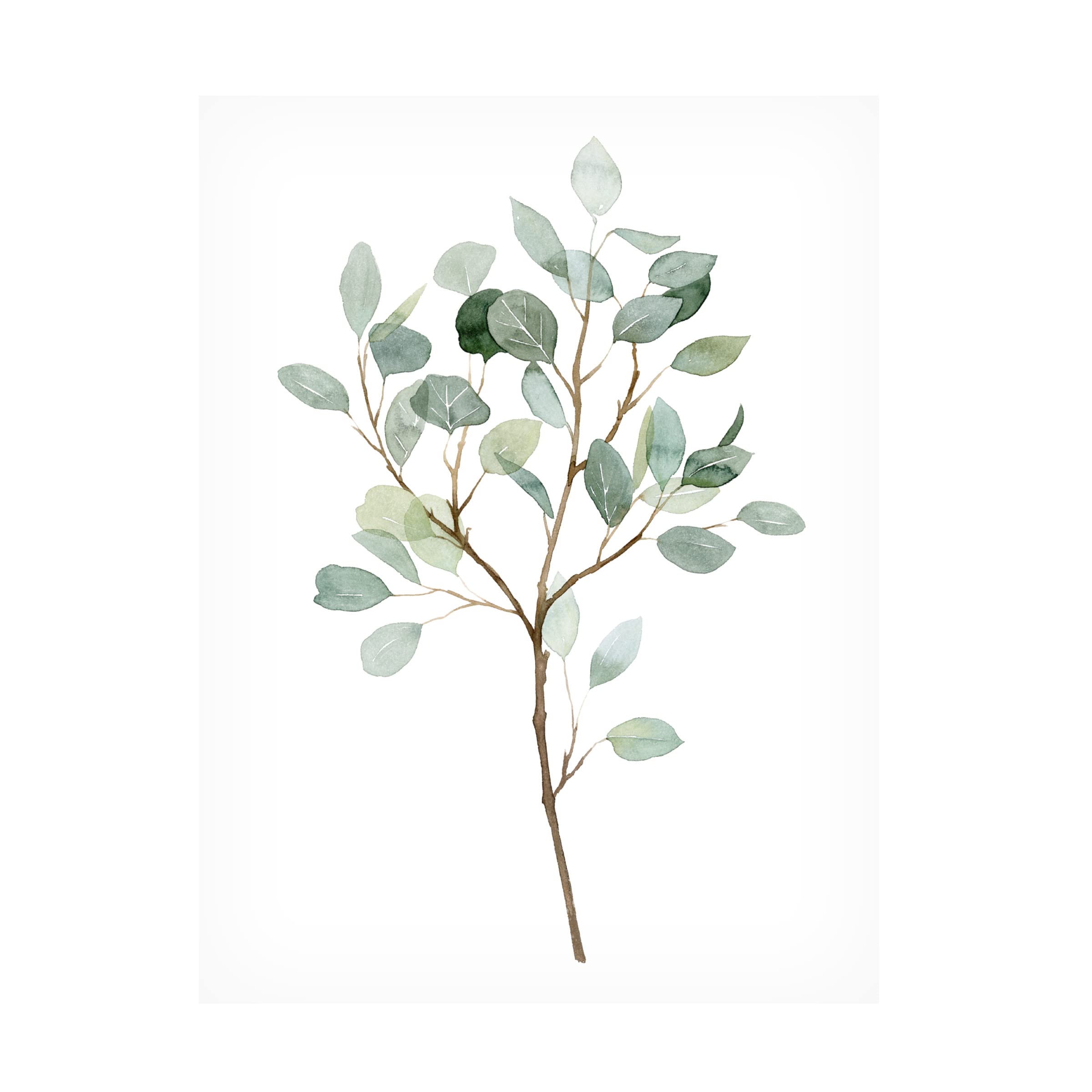 Grace Popp 'Seaglass Eucalyptus II' Canvas Wall Art Print - Coastal Home Decor for Living Room, Bedroom & Office - Trademark Fine Art Collection