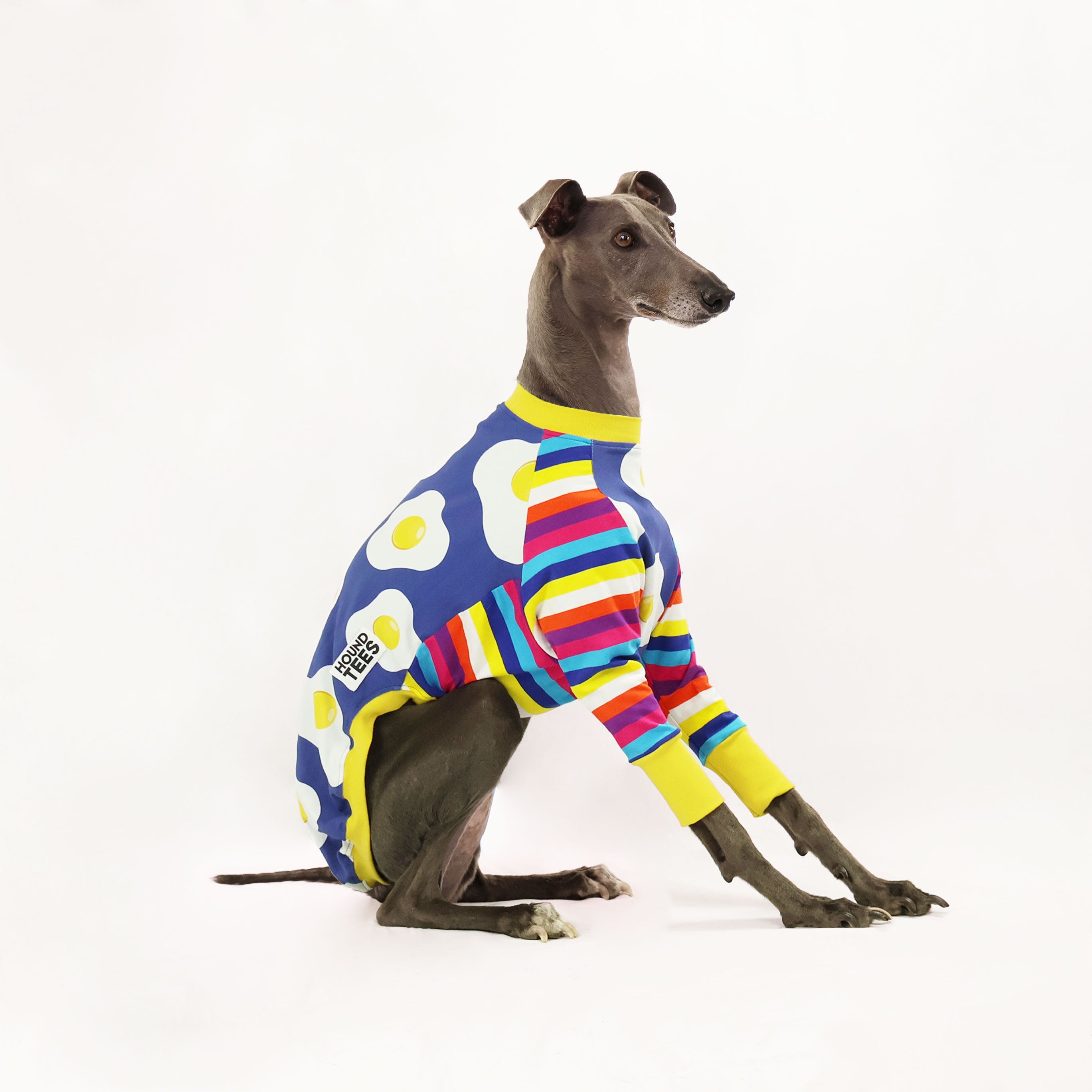 Eggy Whippet Long Sleeve Hound Graphic T-Shirt for Dog Lovers - Casual Wear & Gift for Pet Owners