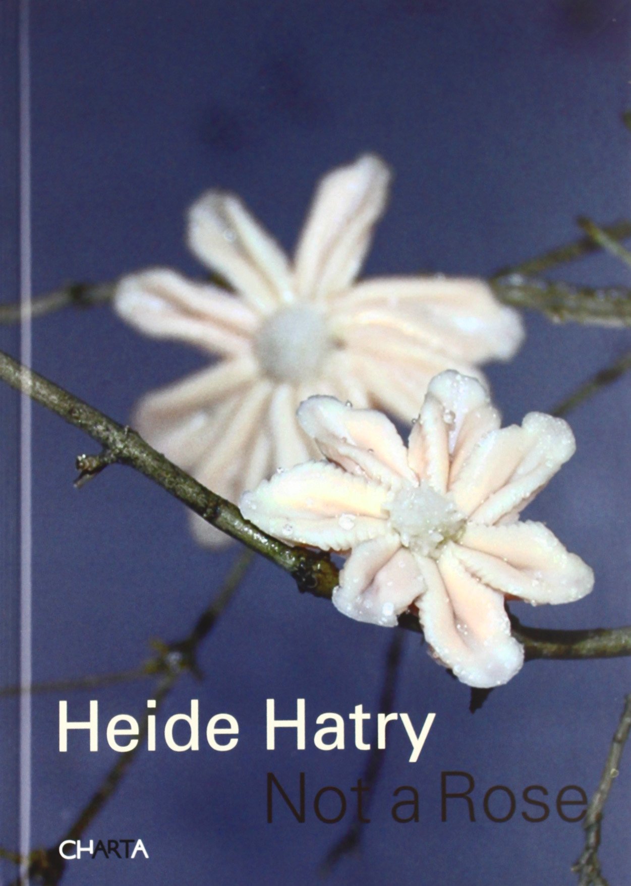 Heide Hatry: Not a Rose - Contemporary Art Book for Collectors | Perfect for Art Lovers, Gallery Displays & Home Decor