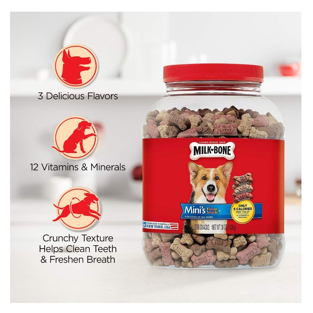 36 oz. Mini's Flavor Snacks Canister with I AM Capable Magnet & Dog's Life Nation Waste Bag Bundle - Perfect for Travel, Outdoor Adventures & Pet Owners