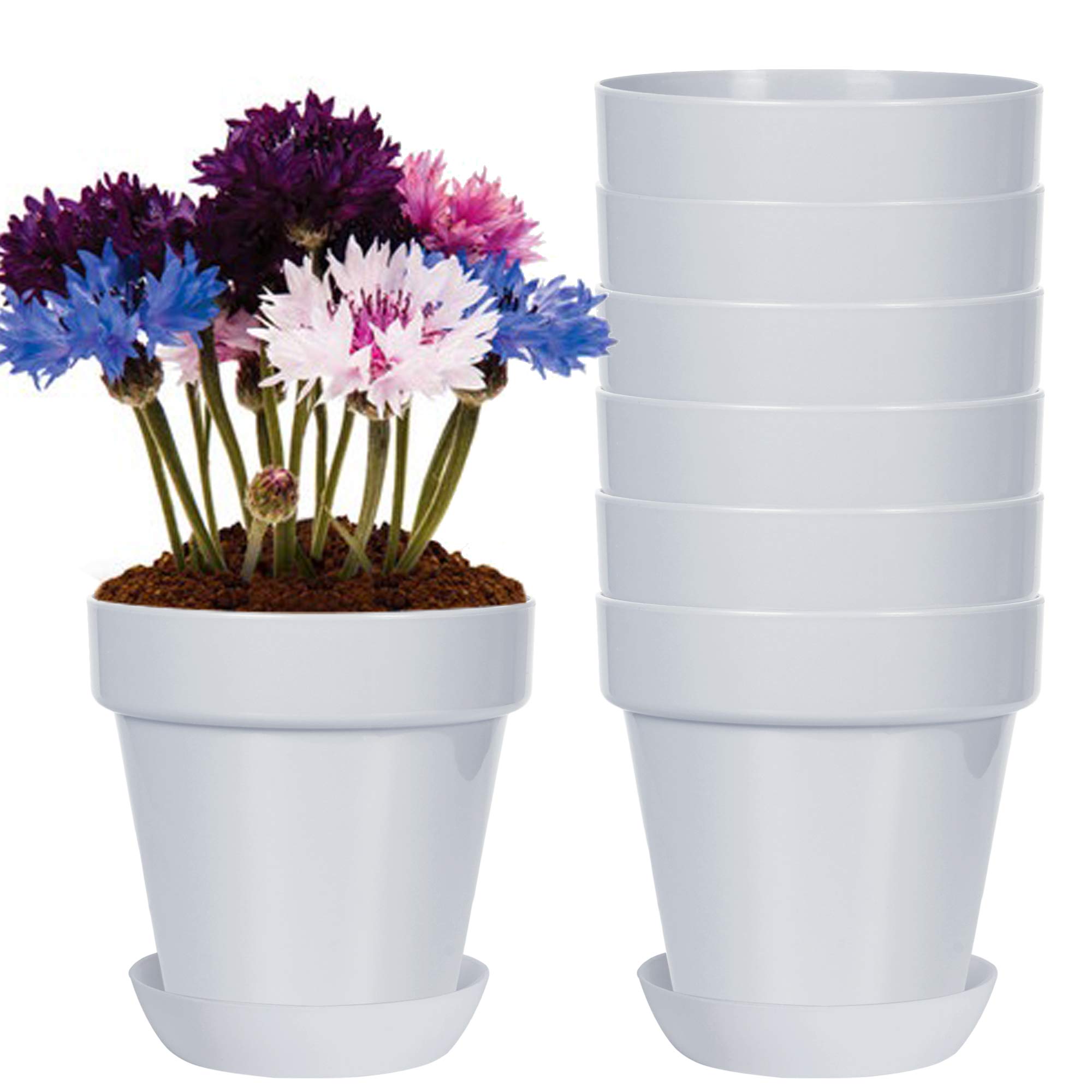 Youngever 8 Pack 5.5 Inch Plastic Plant Pots with Drainage Holes and Saucers - Indoor Flower Planters for Home Decor, Gardening, Office Desk, Balcony & Patio (Grey)